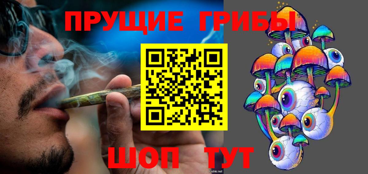 Псилоцибиновые грибы Psilocybine cubensis Новочебоксарск